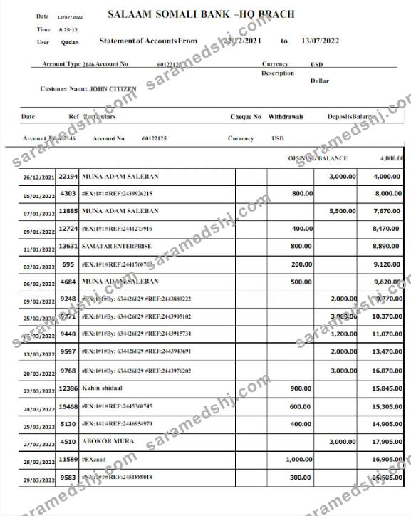 Somali Salaam Somali bank statement Word and PDF template w